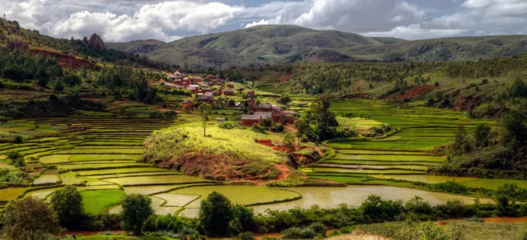 Rice_fields_village_Madagascar_featured